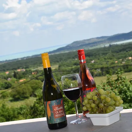 Kisleshegy Vendeghaz * Balatonudvari
