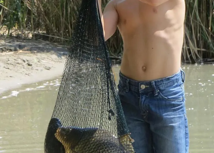 וילה Kisleshegy Vendeghaz *