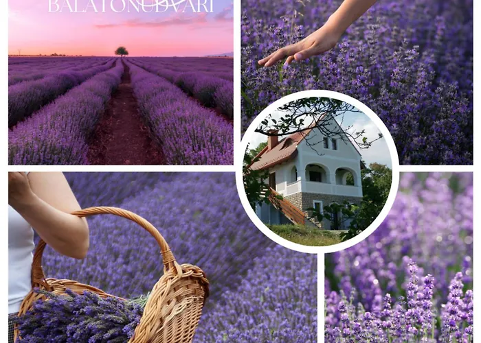 וילה Kisleshegy Vendeghaz